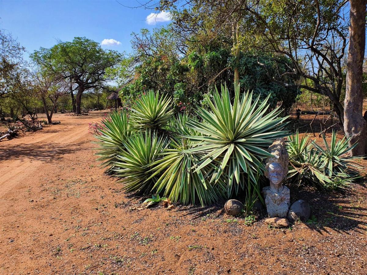Masorini Bush Lodge & Safari Tents 팔라보르와 외부 사진