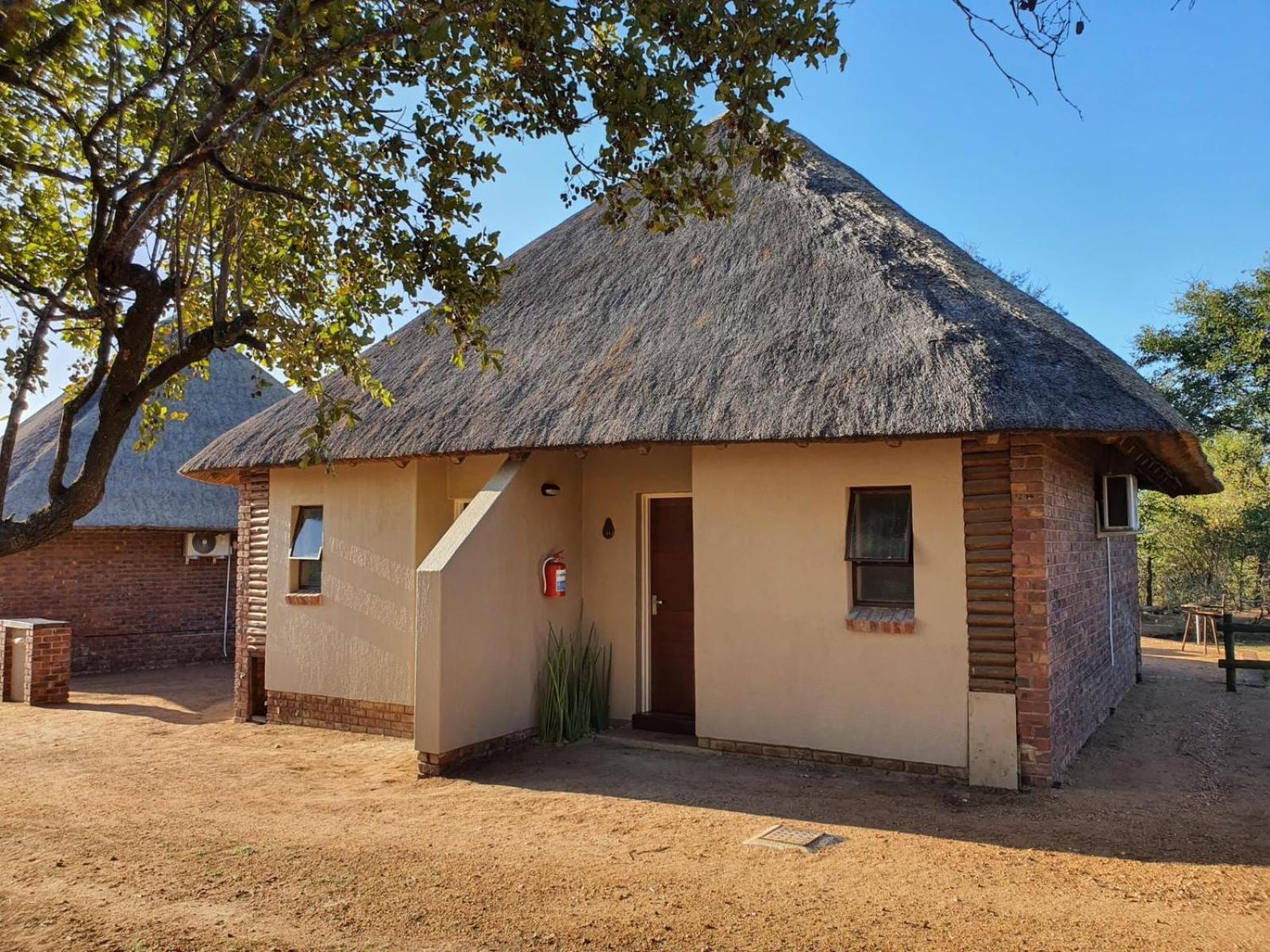 Masorini Bush Lodge & Safari Tents 팔라보르와 객실 사진