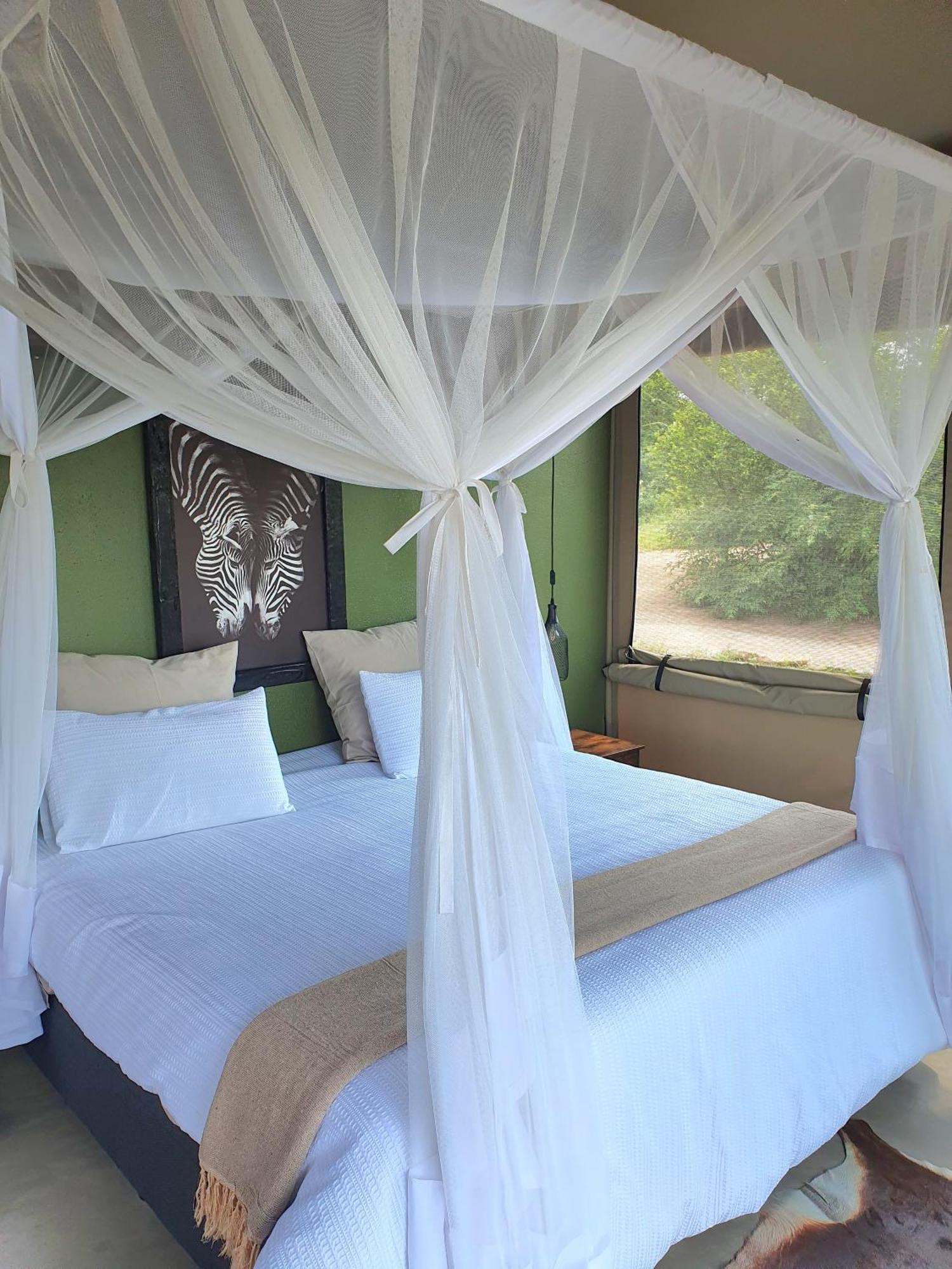 Masorini Bush Lodge & Safari Tents 팔라보르와 외부 사진