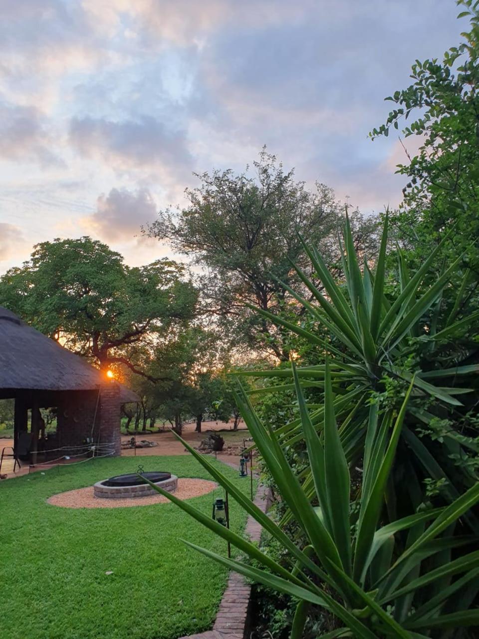 Masorini Bush Lodge & Safari Tents 팔라보르와 외부 사진