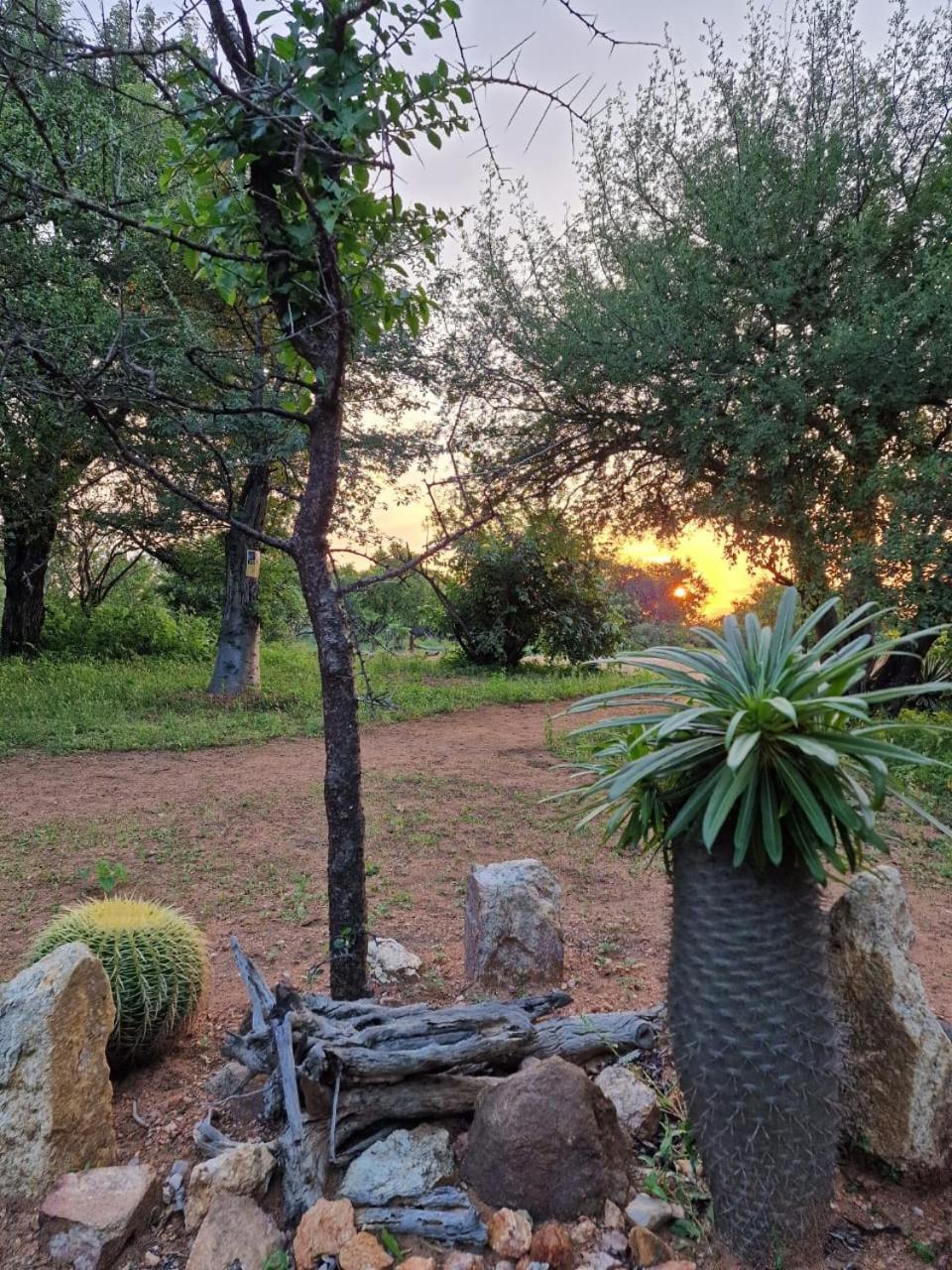 Masorini Bush Lodge & Safari Tents 팔라보르와 외부 사진