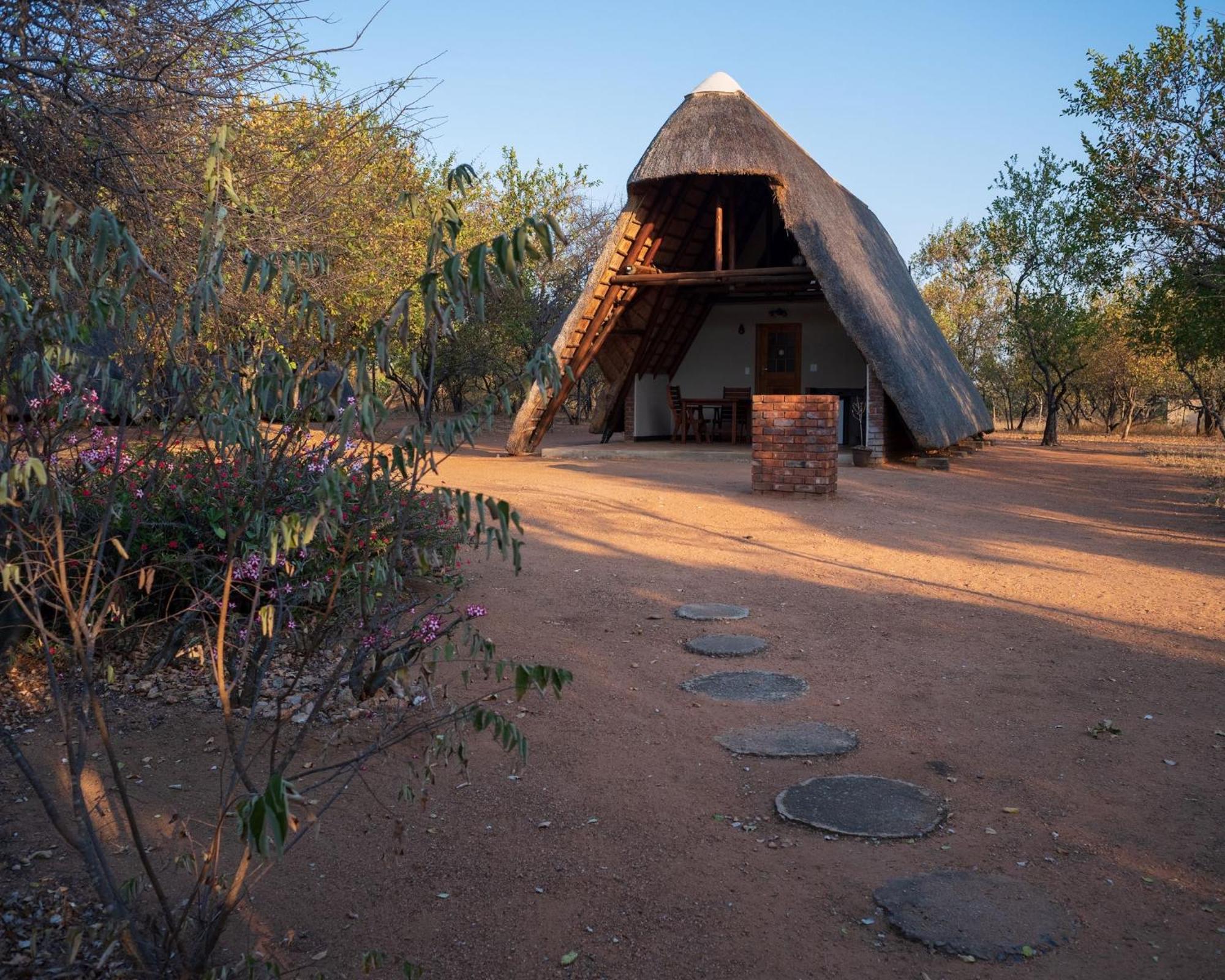 Masorini Bush Lodge & Safari Tents 팔라보르와 외부 사진
